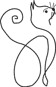 the cat