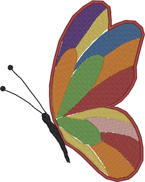 butterfly