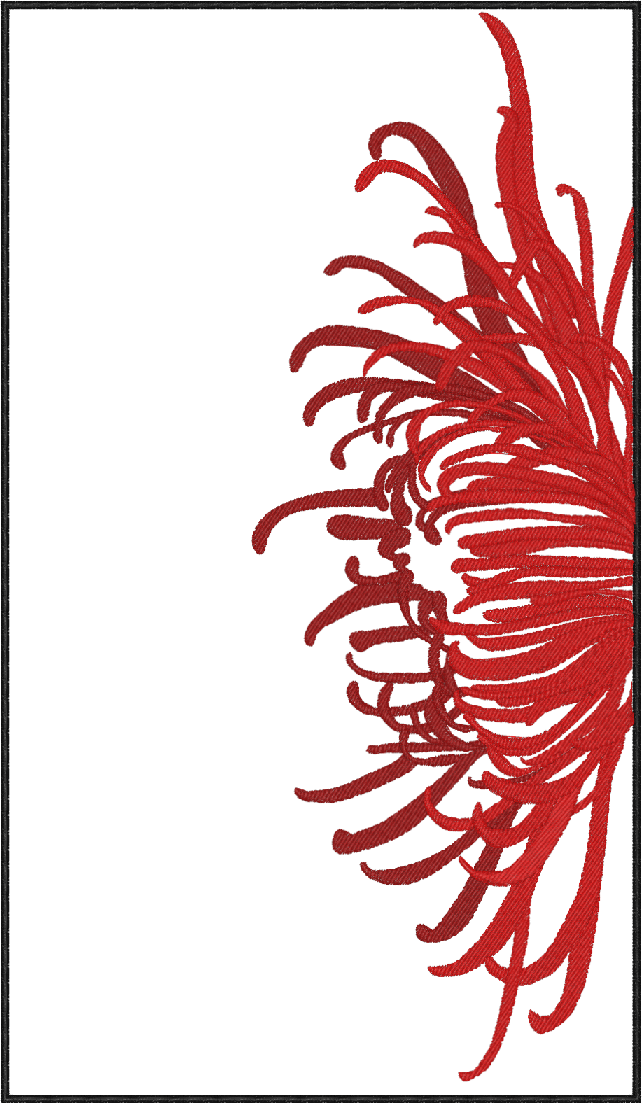 chrysanthemum
