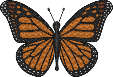 Butterfly!