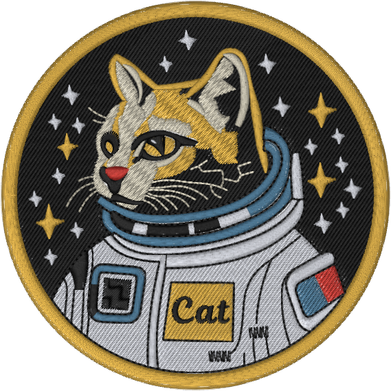Space Cat