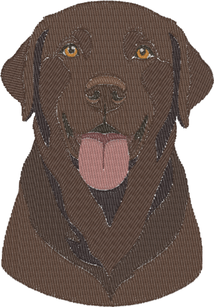 Bruno Chocolate Lab