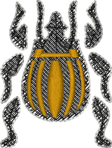 Untitled Embroidery