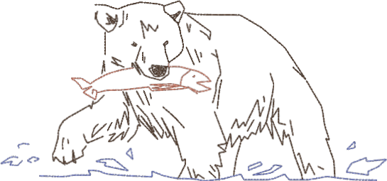 Grizzly Bear