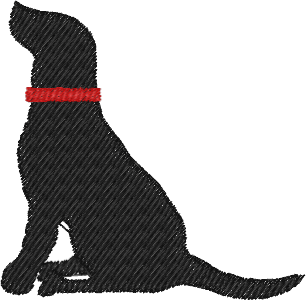 lab dog