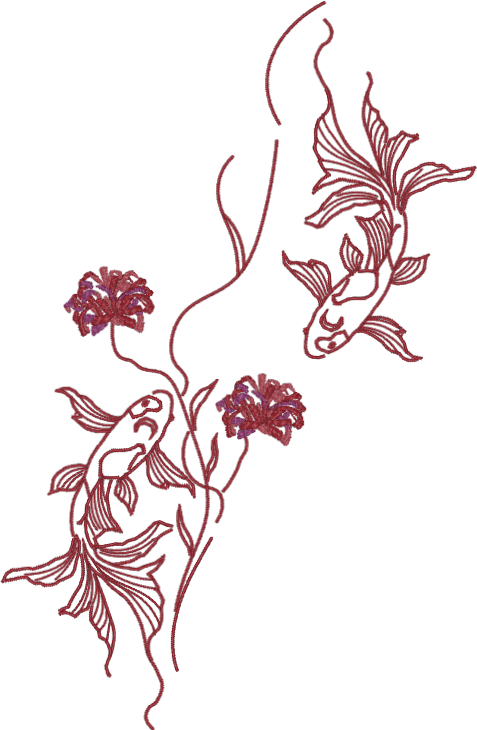 Koi fish