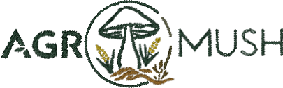 Untitled Embroidery
