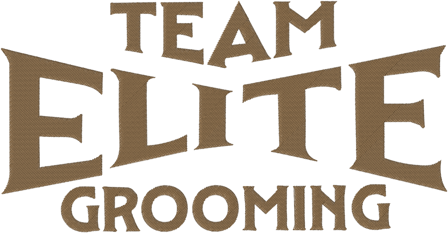 Team Elite