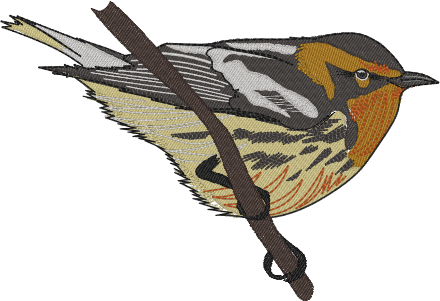 Warbler WIP